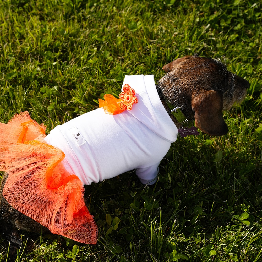 T-shirt maglietta corta di lusso per cani in cotone. Colore bianca con decorazione fiocco