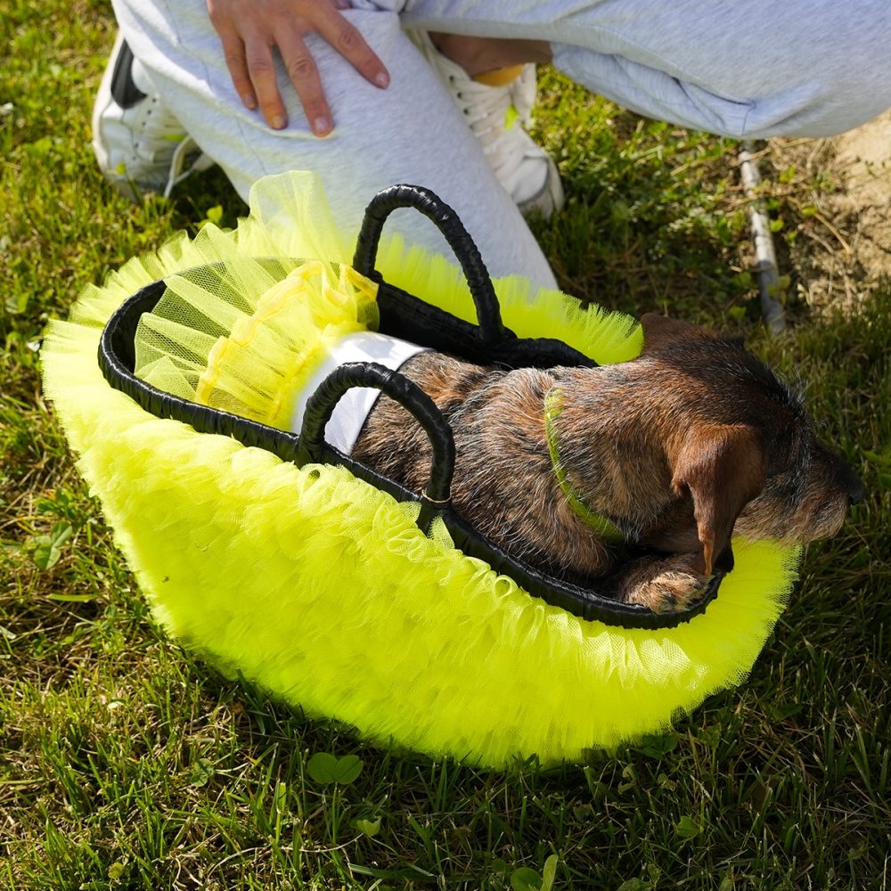 borse per cani di lusso gialla in paglia e tulle