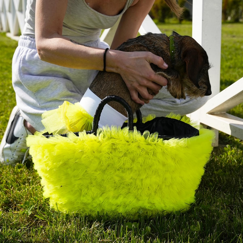 borse per cani di lusso gialla in paglia e tulle