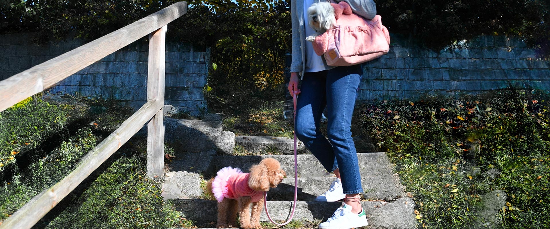 Borse per cani firmate: stile e praticità per i tuoi amici a quattro zampe