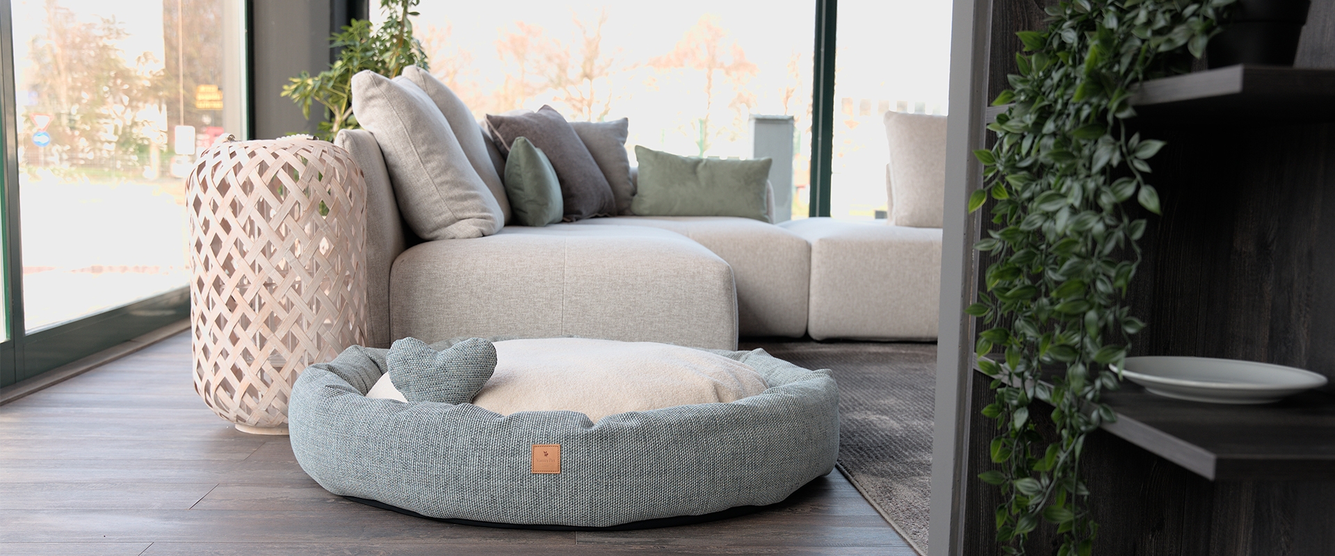 How to choose the dog bed for our four-legged friends?
