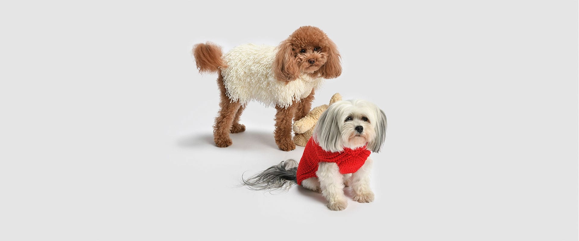 Luxury Made in Italy sweaters for your Pet